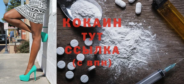 гашик Белокуриха