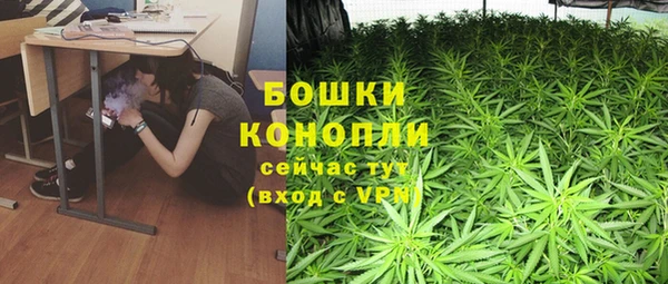 гашик Белокуриха
