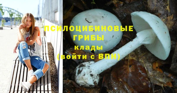 PSILOCYBIN Беломорск
