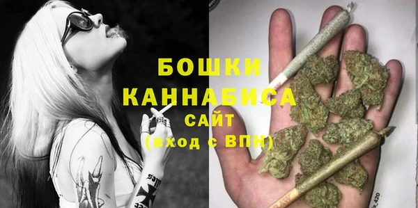 PSILOCYBIN Беломорск