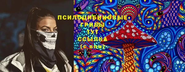 PSILOCYBIN Беломорск