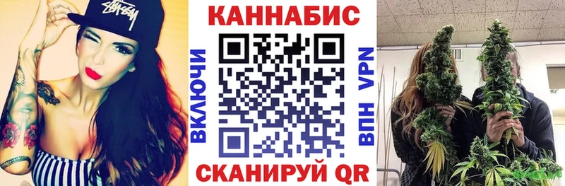 Конопля сатива Кунгур